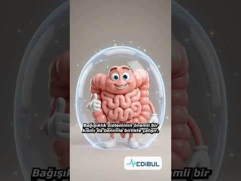 🧠 Bağırsağınız neden “ikinci beyin” olarak anılıyor? - Medibul sağlık videosu